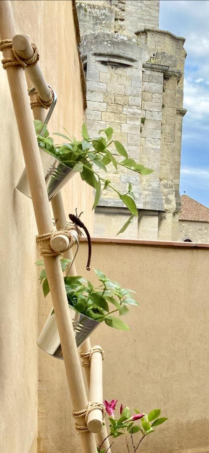 Tresors De La Cathedrale, Maison De Ville Sur 4 Niveaux Narbonne Exteriör bild