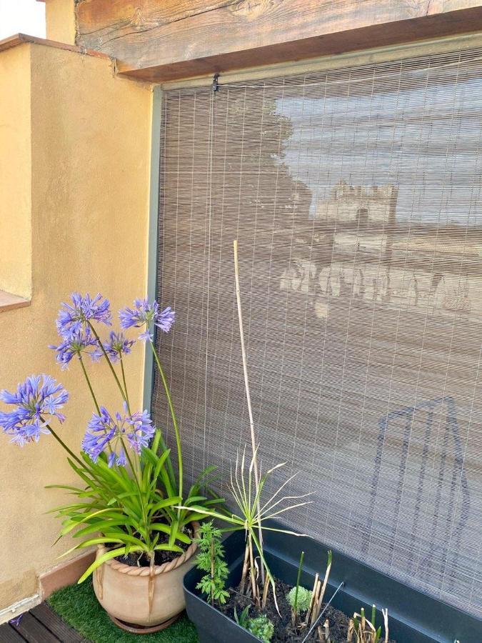 Tresors De La Cathedrale, Maison De Ville Sur 4 Niveaux Narbonne Exteriör bild