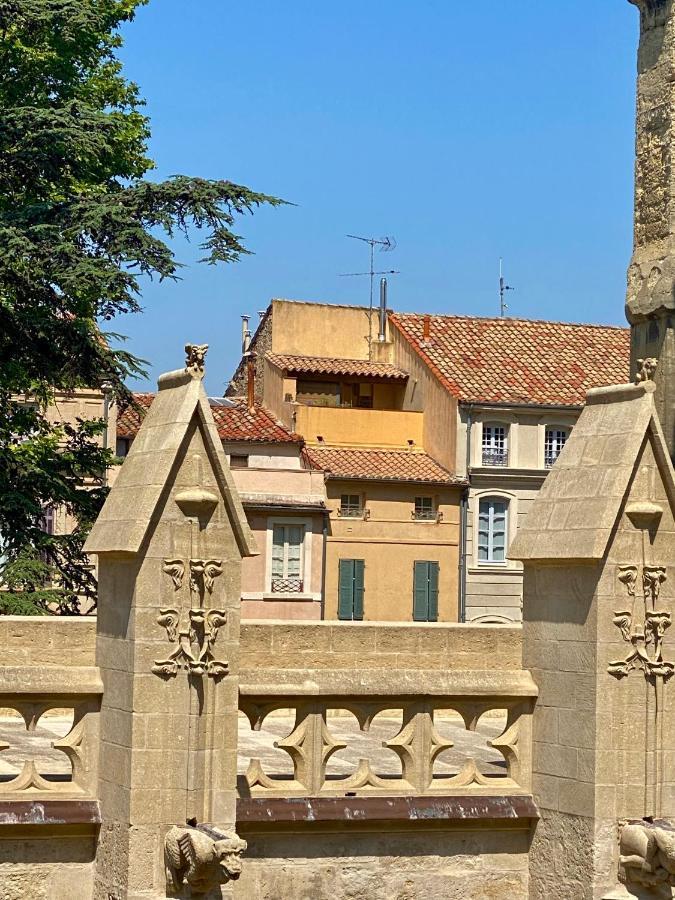 Tresors De La Cathedrale, Maison De Ville Sur 4 Niveaux Narbonne Exteriör bild